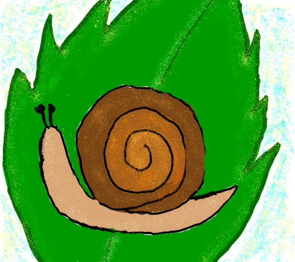 Lsk の カタツムリ の絵