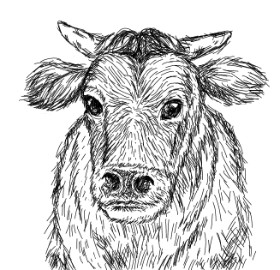 Um の 牛 の絵