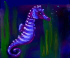 Drawing of Seahorse by Tab