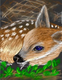 Drawing of Bambi by ⋆su⋆vinci彡