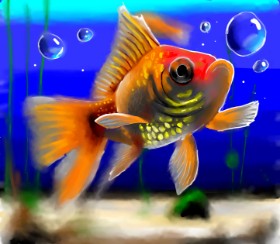Яandi の 魚 の絵