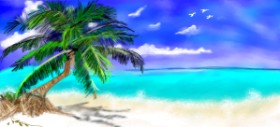 Drawing of Palm tree by Çhåching
