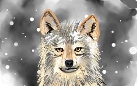 Рисунок на тему «Волк» — автор: Rose rocket