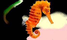 Tim の タツノオトシゴ の絵