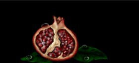 Drawing of Pomegranate by Annie