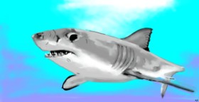 Рисунок на тему «Акула» — автор: Swimmer