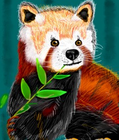 ヴィクトル の レッサーパンダ の絵