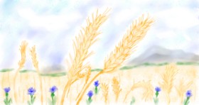 Drawing of Wheat by Maggy