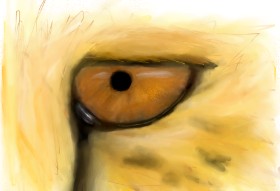 Gepard - autor: Harry Potter