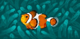Рисунок на тему «Clownfish» — автор: shiNIN