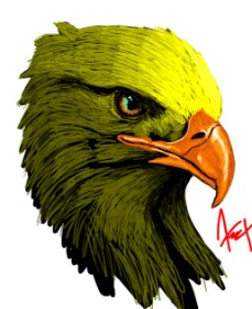 Arif の ワシ の絵