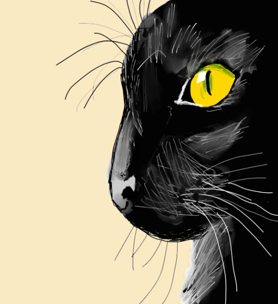 Unknown の 子猫 の絵