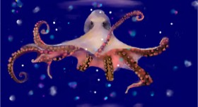 Drawing of Octopus by Mandy Boggs