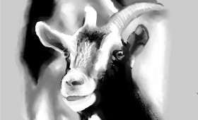 DrawSomething の ヤギ の絵
