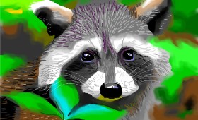 Herbert の アライグマ の絵