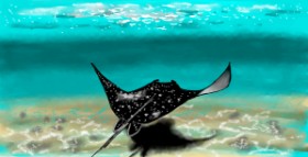 Eclat de Lune の アカエイ の絵