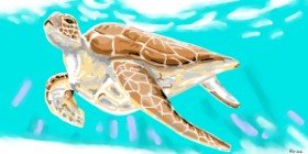Swimmer の ウミガメ の絵