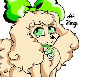 Drawing of Poodle by Holy Kirbo