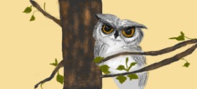Рисунок на тему «Сова» — автор: birdie