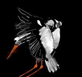 Eclat de Lune の コウノトリ の絵