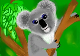 Bri の コアラ の絵