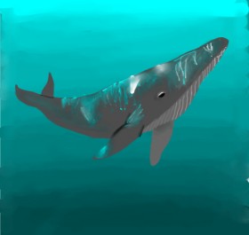 Mis pastelitos の クジラ の絵