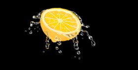 shiNIN の レモン の絵