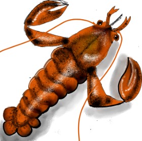 Priyu の ロブスター の絵