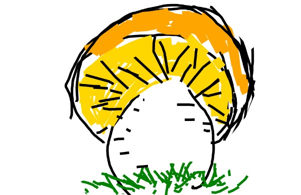 E S の きのこ の絵