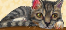 Рисунок на тему «Котенок» — автор: Ghost