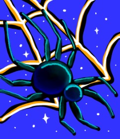 Drawing of Spider web by 💫 KatieKat 💫