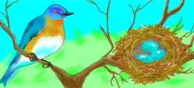 Debidolittle の 巣 の絵