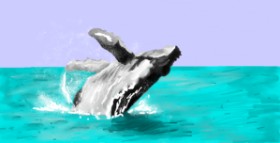 Effulgent Emerald の クジラ の絵