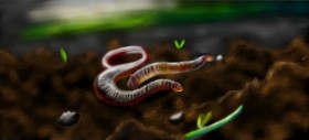 Drawing of Worm by Çhåching