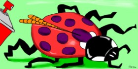 Drawing of Ladybug by Swimmer