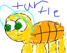 Drawing of Tortoise by Anonymous