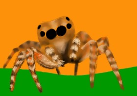 Drawing of Spider by Bolbi