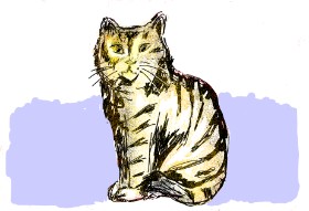 Drawing of Cat by Lsk