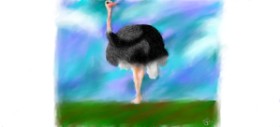 Sara の ダチョウ の絵