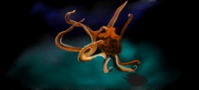Drawing of Octopus by Çhåching