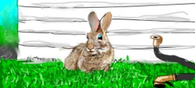 Hase-Zeichnung von bobbymcmuffin