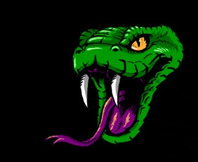Drawing of Snake by Sofie