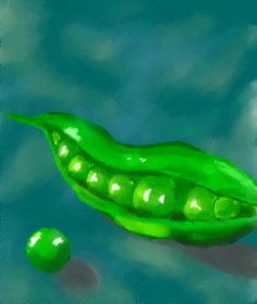 Рисунок на тему «Горох» — автор: ヴィクトル