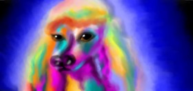 Drawing of Poodle by archeo (imbackyo)