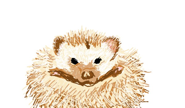 Igel-Zeichnung von Rayn Solchain