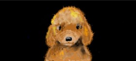 SAM AKA MARGARET 🙄 の プードル の絵