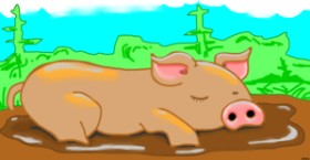 Drawing of Pig by Kees