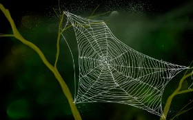 Рисунок на тему «Паутина» — автор: Wendy :)