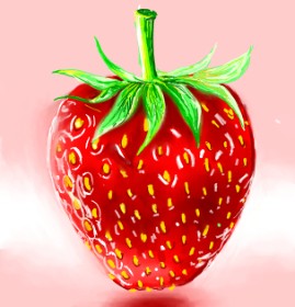 Drawing of Strawberry by ⋆su⋆vinci彡