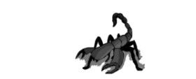 Drawing of Scorpion by coconut